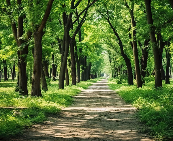 trees